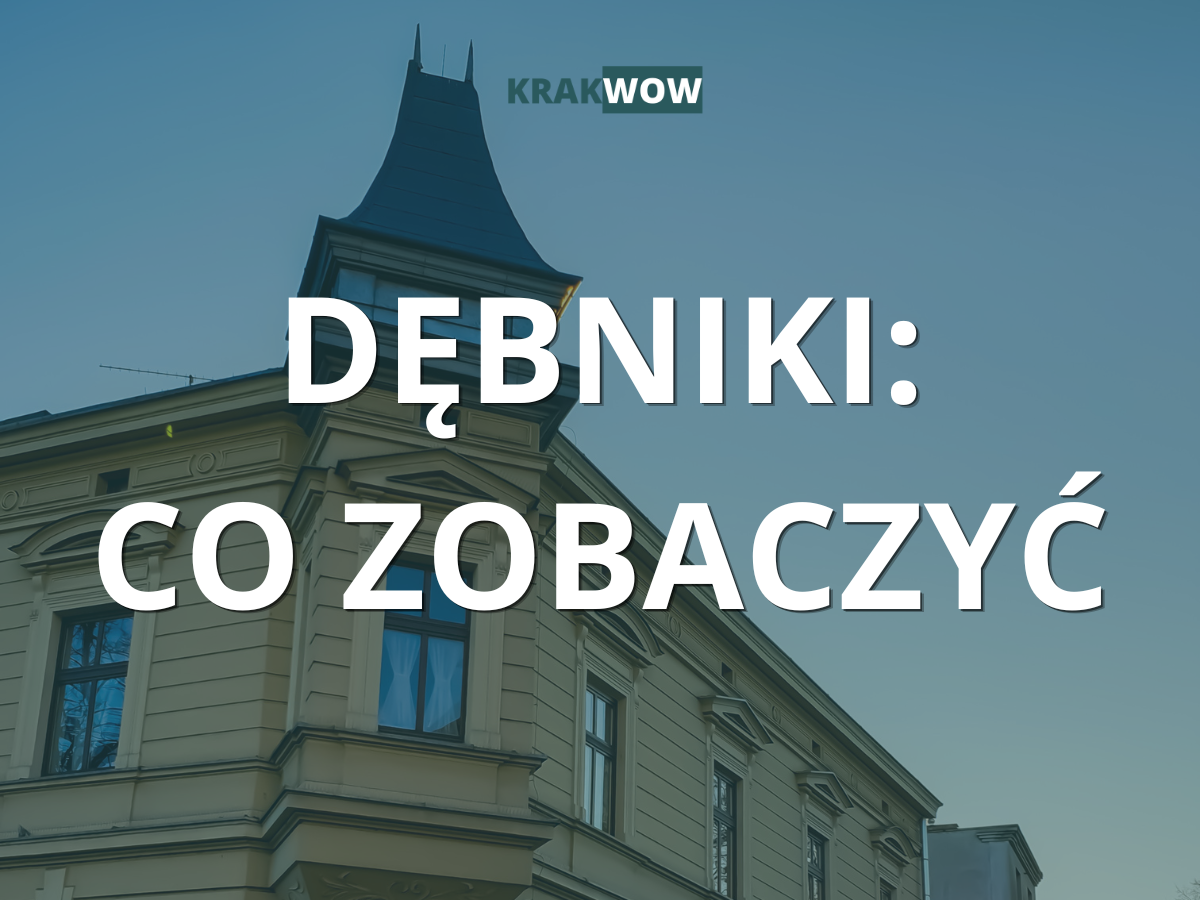 Read more about the article Dębniki: co zobaczyć?