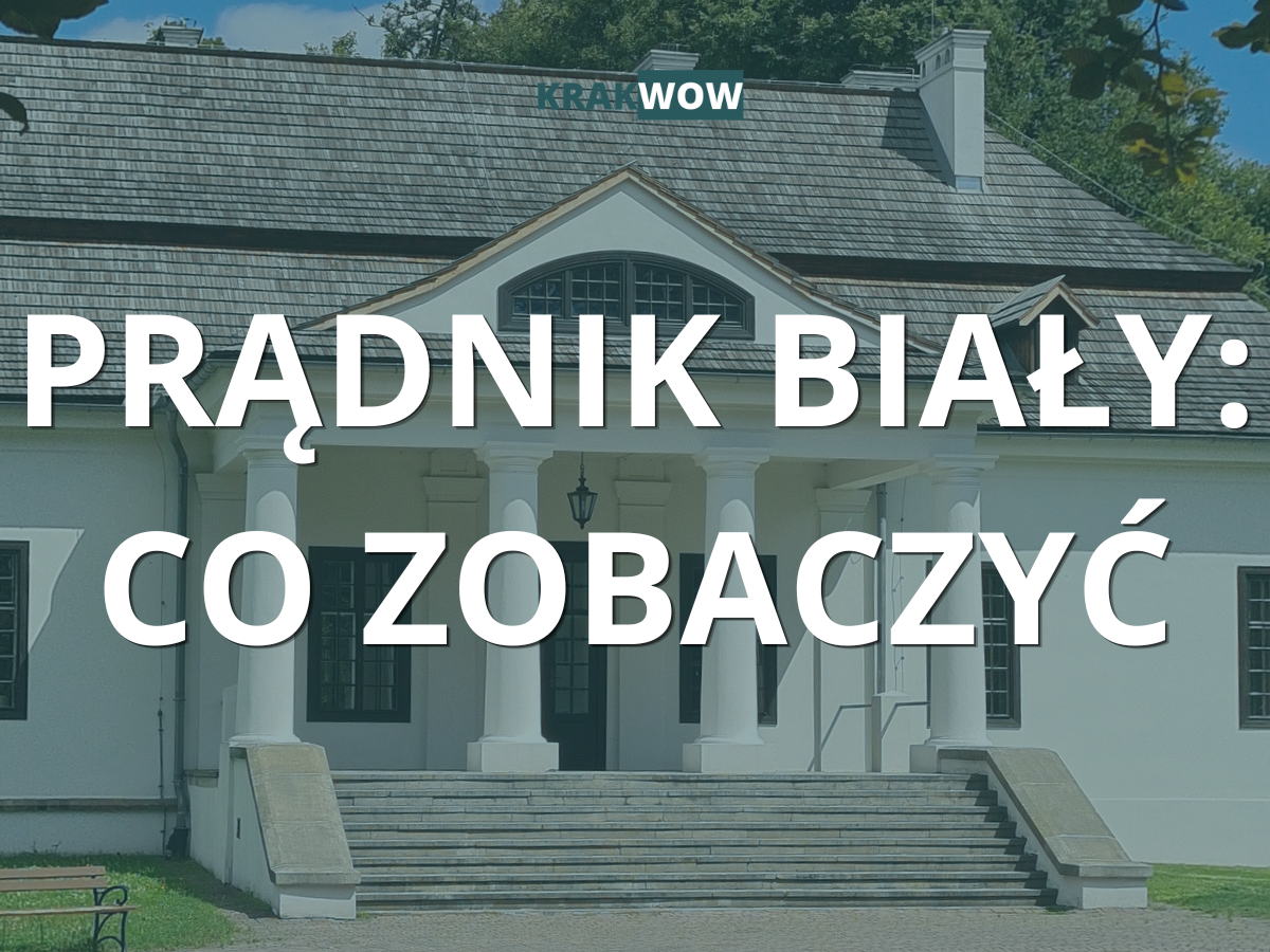 Read more about the article Prądnik Biały: co zobaczyć