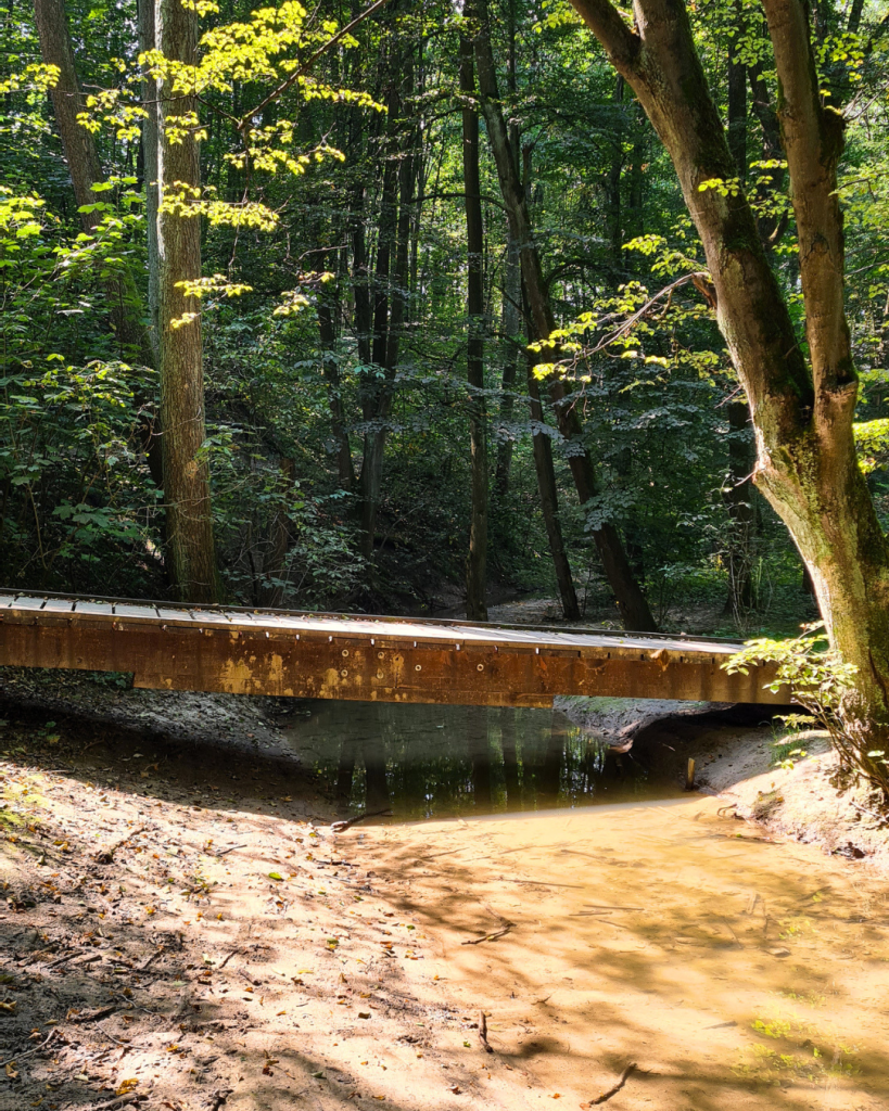 Prądnik Biały: co zobaczyć