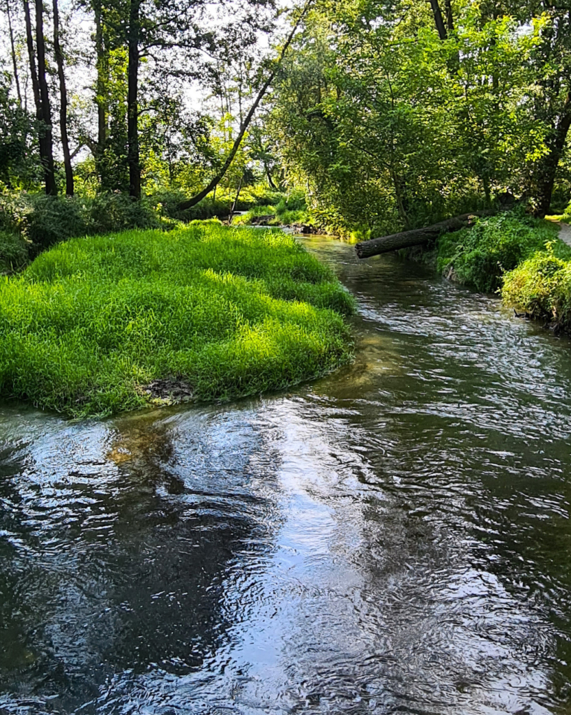 Prądnik Biały: co zobaczyć